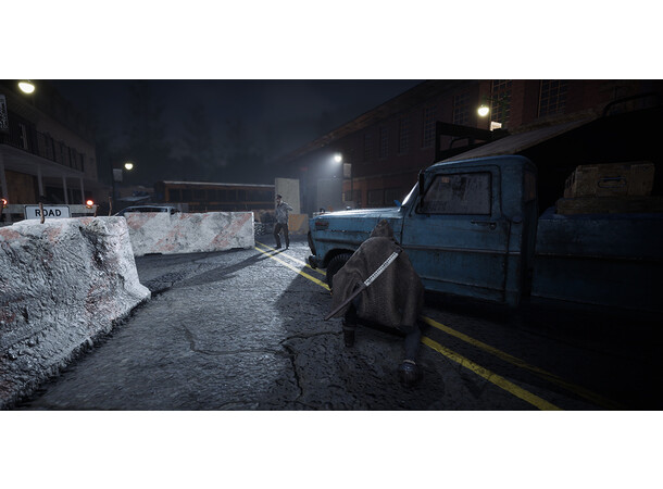 The Walking Dead Destinies PS5 