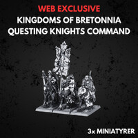 Kingdom of Bretonnia Questing Command Warhammer The Old World Questing Knights