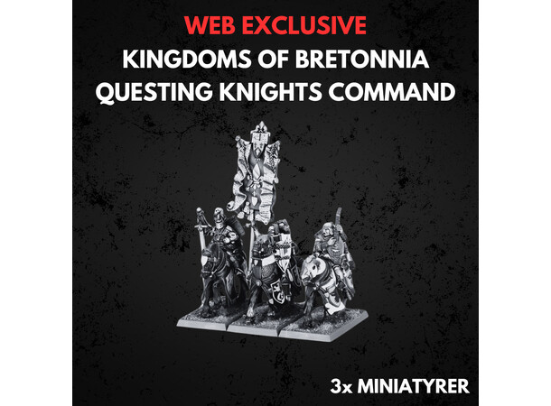 Kingdom of Bretonnia Questing Command Warhammer The Old World Questing Knights