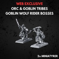Orc & Goblin Tribes Goblin Wolf Rider Bo Warhammer The Old World - Bosses