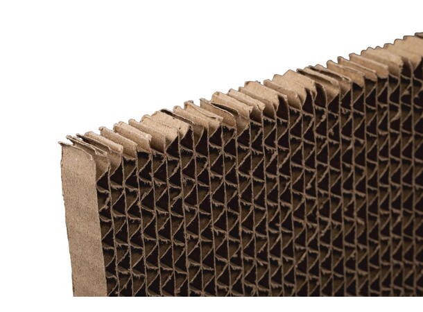 Panzag HS 420 & E600 Back Filter 