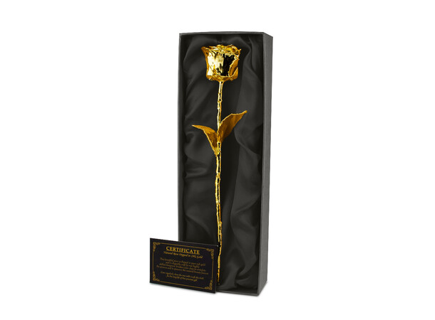24K Golden Rose m/ gaveeske 