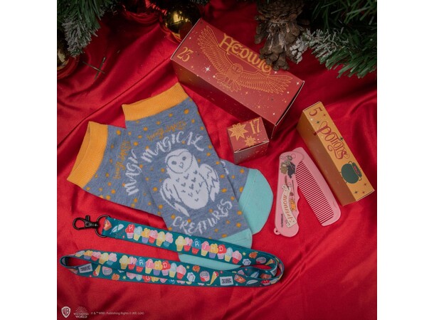 Harry Potter Julekalender 2024 Advent Calendar Deluxe 