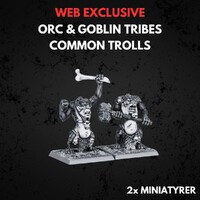 Orc & Goblin Tribes Common Trolls Warhammer The Old World