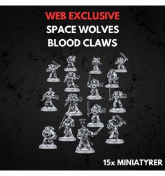 Space Wolves Blood Claws Warhammer 40K