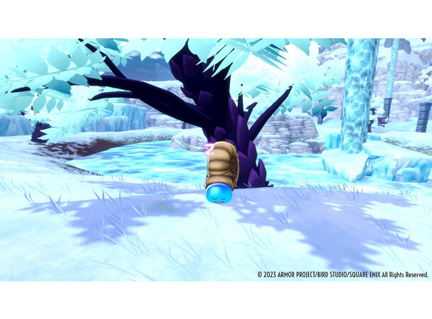 Dragon Quest Monsters Dark Prince Switch 