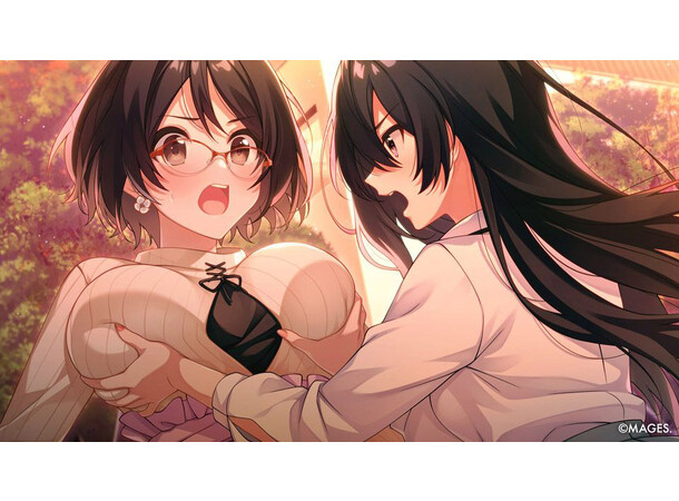 Since Memories Switch 