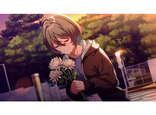 Since Memories Switch 