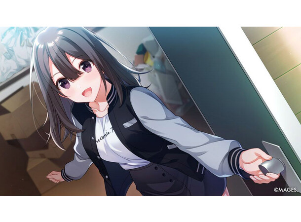 Since Memories Switch 