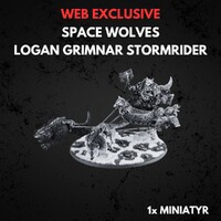 Space Wolves Logan Grimnar Stormrider Warhammer 40K