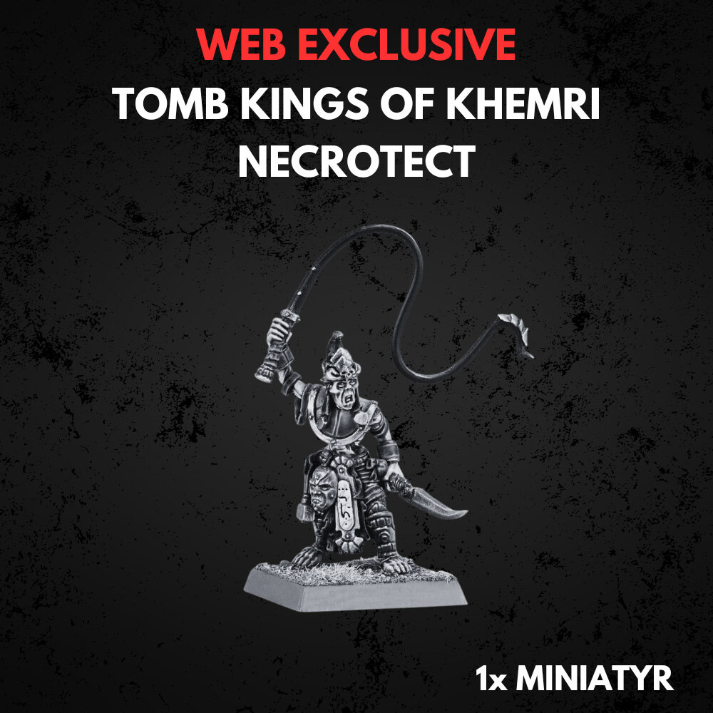 Miniatura Warhammer Tomb Kings: Tomb King On Necrolite Bone Dragon Dipinta E Assemblata - Foto 5