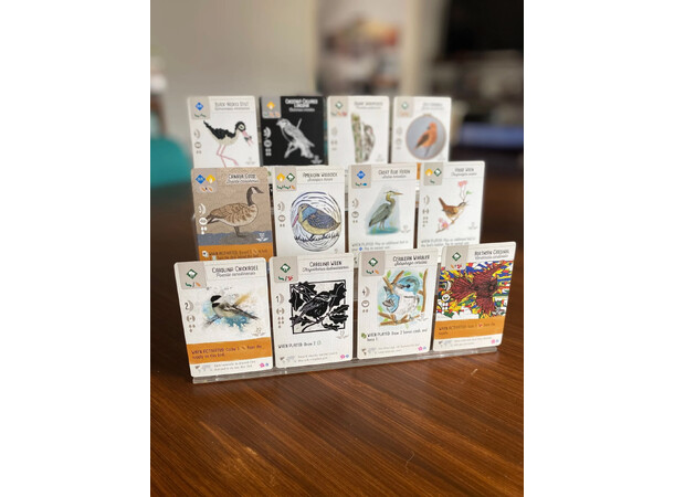 Wingspan Fan Art Cards - Engelsk Utvidelse til Wingspan