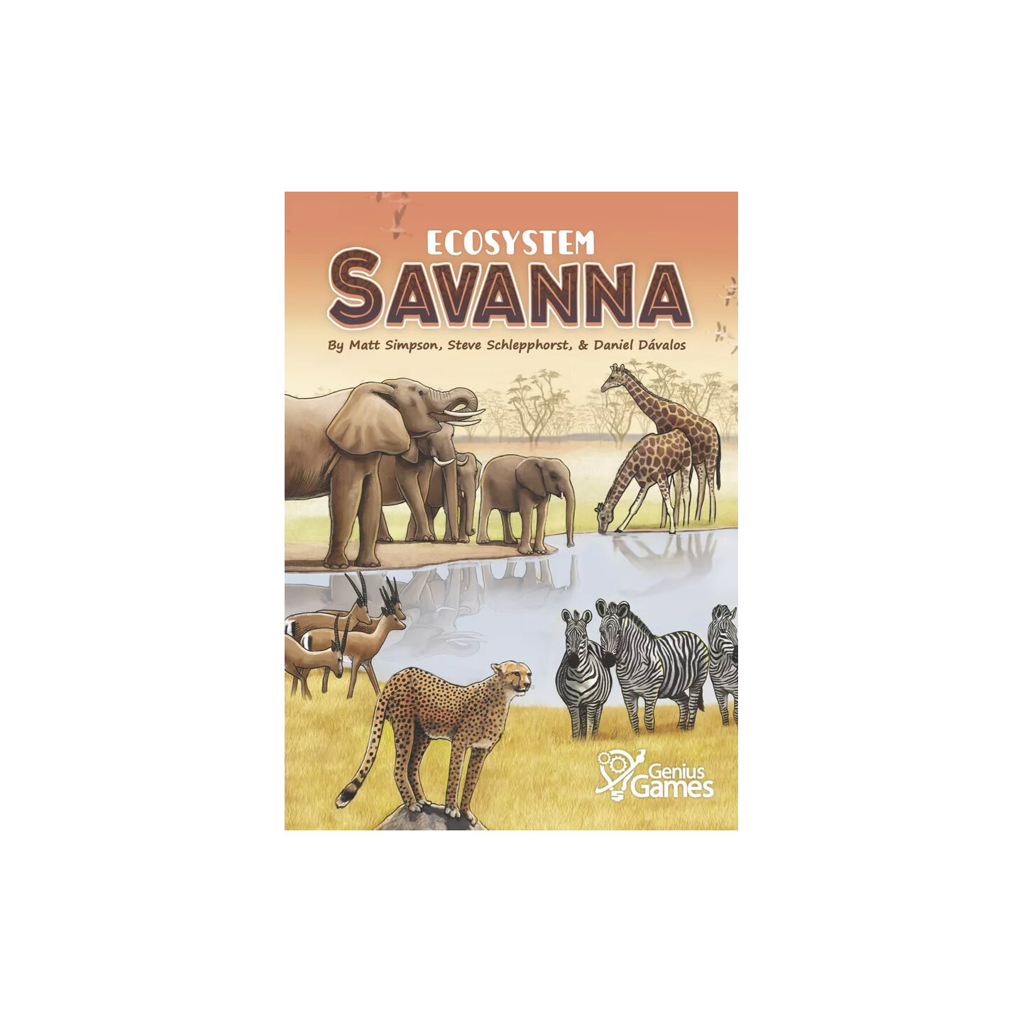 Ecosystem Savanna Brettspill