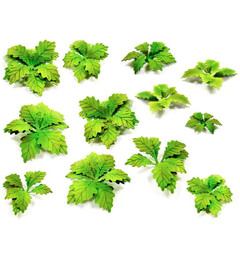 Paper Plants - Burdock (14 stk) Green Stuff World