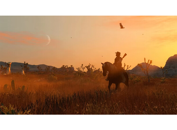 Red Dead Redemption Switch 