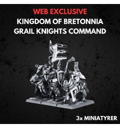 Kingdom of Bretonnia Grail Knights Comma Warhammer The Old World - Command
