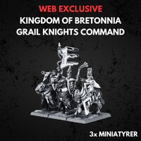 Kingdom of Bretonnia Grail Knights Comma Warhammer The Old World - Command