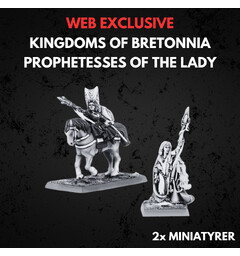Kingdom of Bretonnia Prophetesses Lady Warhammer The Old World