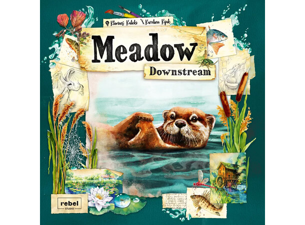 Meadow Downstream Expansion Expansion till Meadow 
