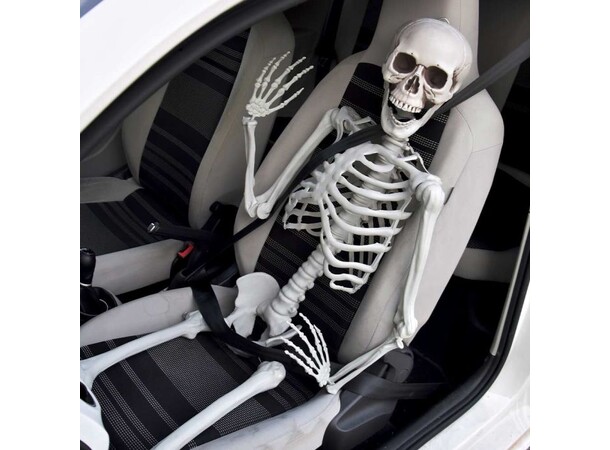 Skelett i full storlek - 170 cm Life Size Skeleton 