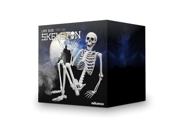 Skjelett Full Størrelse - 170cm Life Size Skeleton 