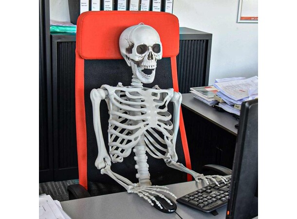 Skjelett Full Størrelse - 170cm Life Size Skeleton 