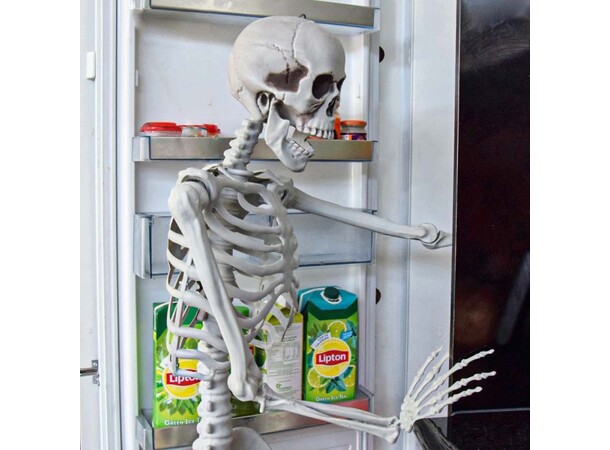 Skjelett Full Størrelse - 170cm Life Size Skeleton 