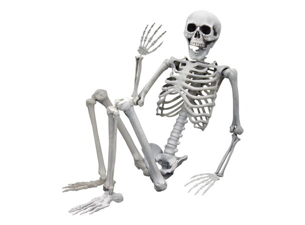 Skjelett Full Størrelse - 170cm Life Size Skeleton 