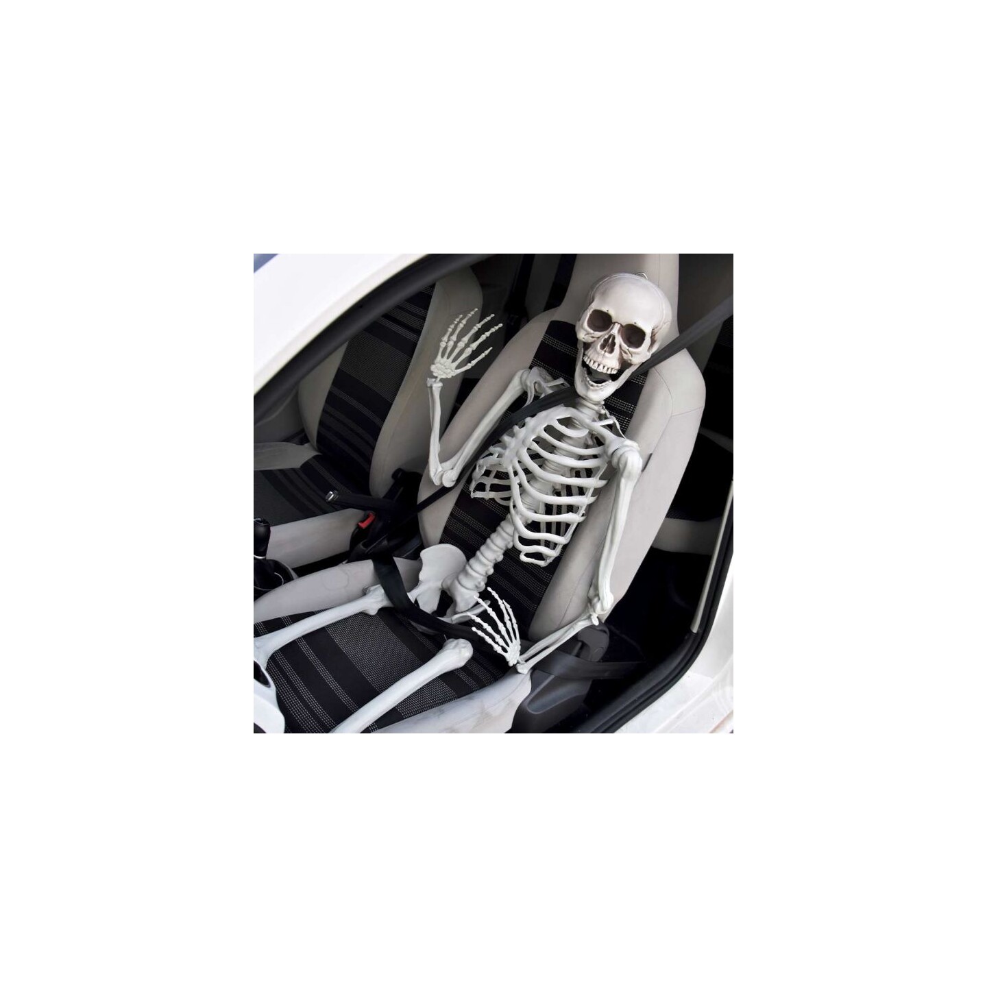 Skjelett Full Størrelse - 170cm Life Size Skeleton