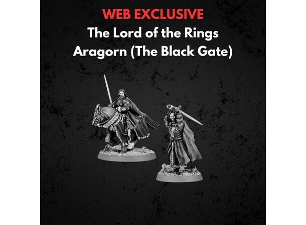 Aragorn The Black Gate Middle-earth Strategy Battle Game 