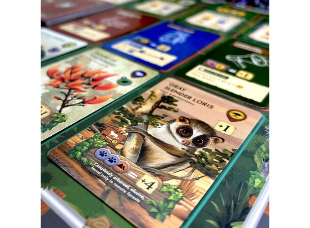 Biomes of Nilgiris Brädspel 