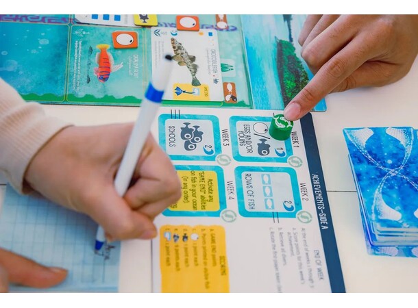 Finspan Brädspel Svensk utgåva 