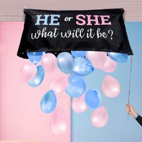 Gender Reveal Balloon Bag Kit 