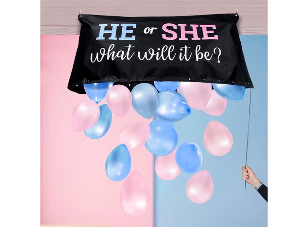 Gender Reveal Balloon Bag Kit 