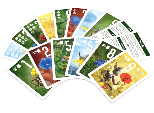 Pixies Flower Power Booster Expansion Expansion till Pixies 