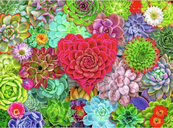Succulent Love 500 bitar Pussel Ravensburger Puzzle 