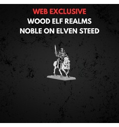 Wood Elf Realms Noble on Elven Steed Warhammer The Old World