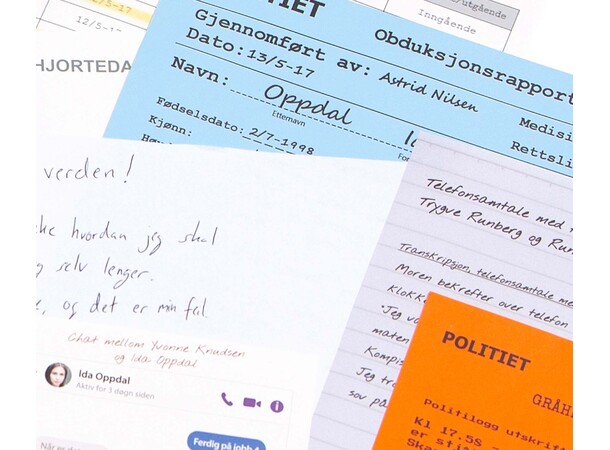 Detective for a Day Russetreffet Drapet på Russetreffet 