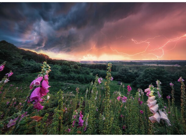 Dreamy Thunder 1000 bitar Pussel Ravensburger Puzzle 