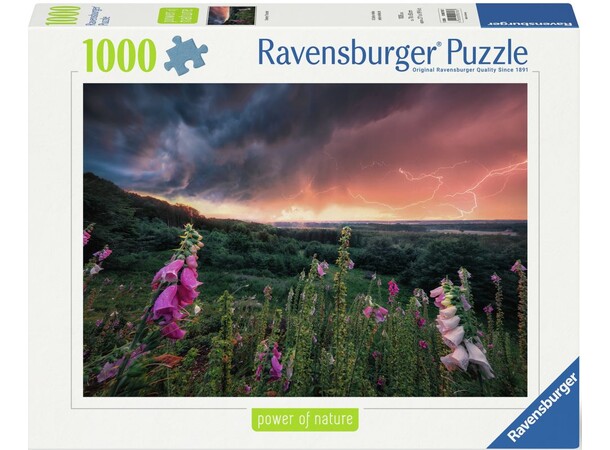 Dreamy Thunder 1000 biter Puslespill Ravensburger Puzzle 