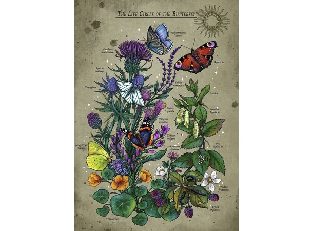 Lifecircle Butterfly 1000 bitar Pussel Ravensburger Puzzle 
