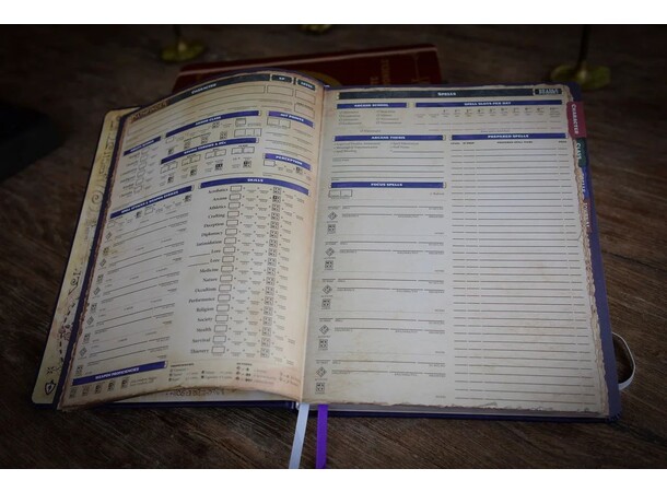 Pathfinder Complete Rogue Chronicle Beadle & Grimm 