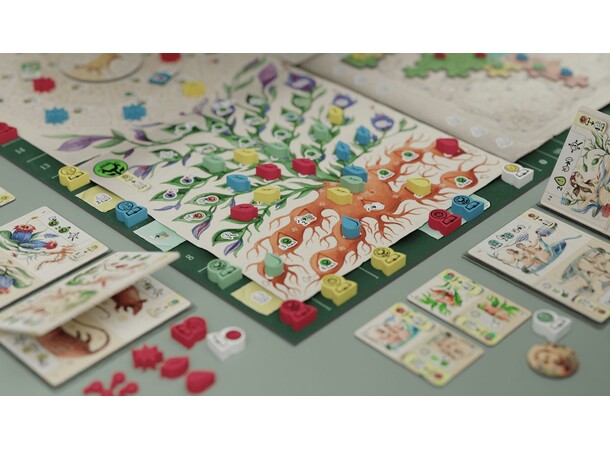 The Voynich Puzzle Brettspill 