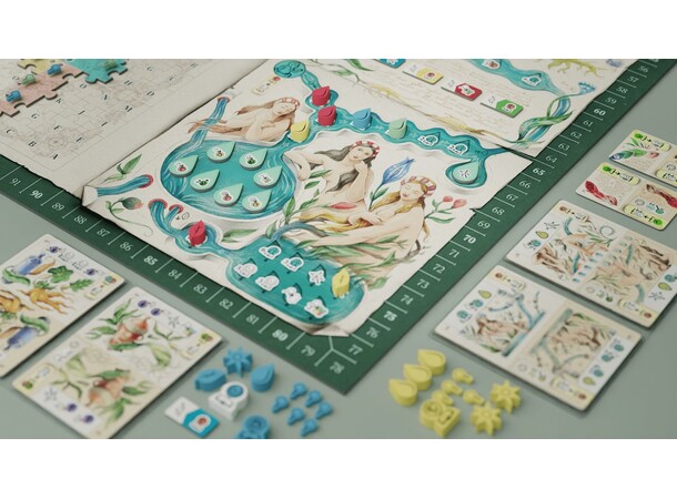 The Voynich Puzzle Brettspill 