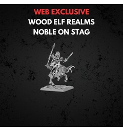 Wood Elf Realms Noble on Great Stag Warhammer The Old World