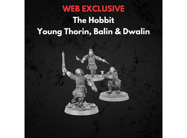Young Thorin Balin & Dwalin Middle-earth Strategy Battle Game 