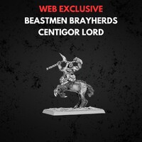 Beastmen Brayherds Centigor Lord Warhammer The Old World