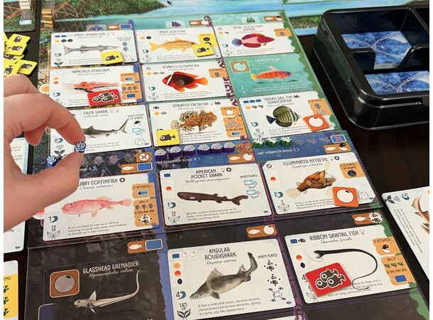 Finspan Sharks & Reefs Expansion Utvidelse til Finspan 