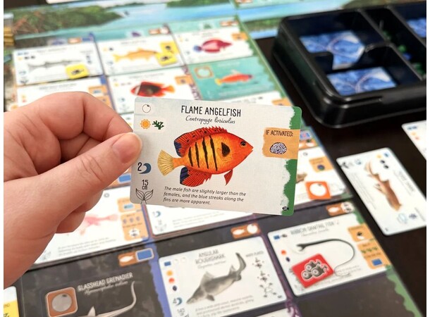 Finspan Sharks & Reefs Expansion Utvidelse til Finspan 