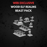Wood Elf Realms Beast Pack Warhammer The Old World
